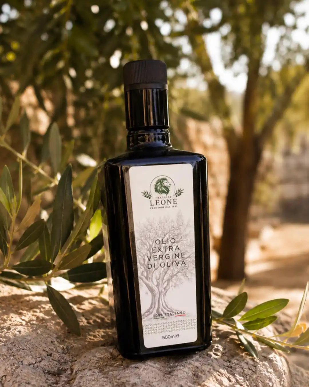 BOTTIGLIA 0,50 L – Olio Extravergine di Oliva 100%